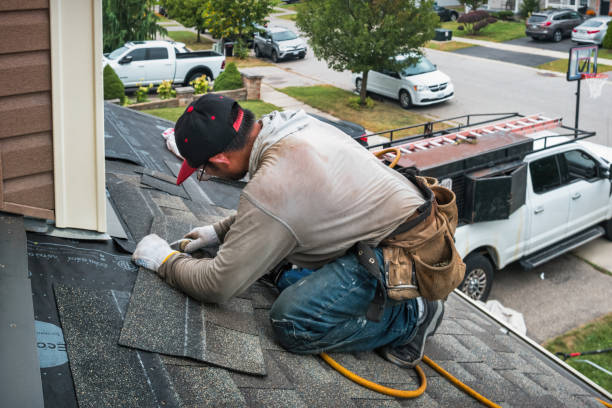 Professional Flat Roof Repair technician working in Wapello, IA